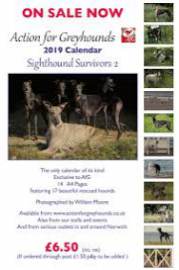 Greyhound 2019