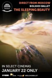 Bolshoi Ballet: Sleeping Beauty 17